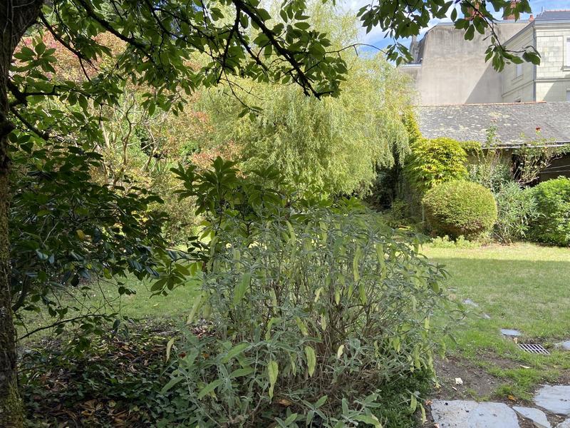 Maison - 250 m² - 10 pièces