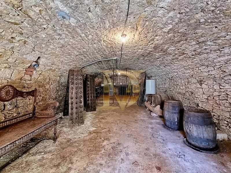 Propriété - 350 m² - 10 pièces