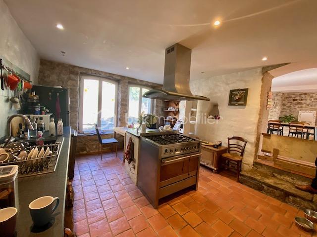 Demeure - 290 m² - 7 pièces