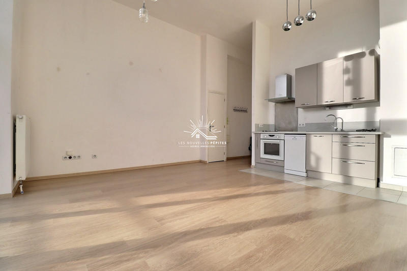 Loft - 43 m² - 2 pièces