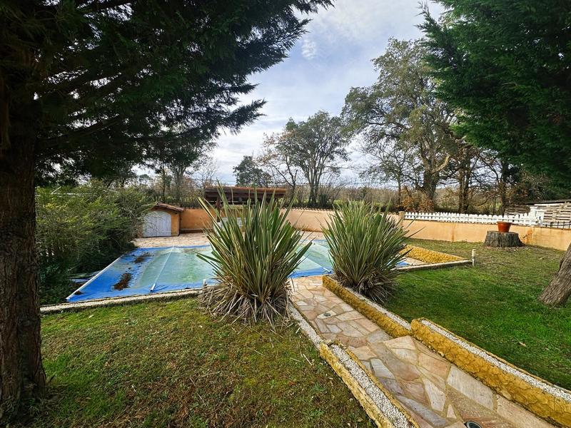 Viager - Maison - 132 m² - 5 pièces