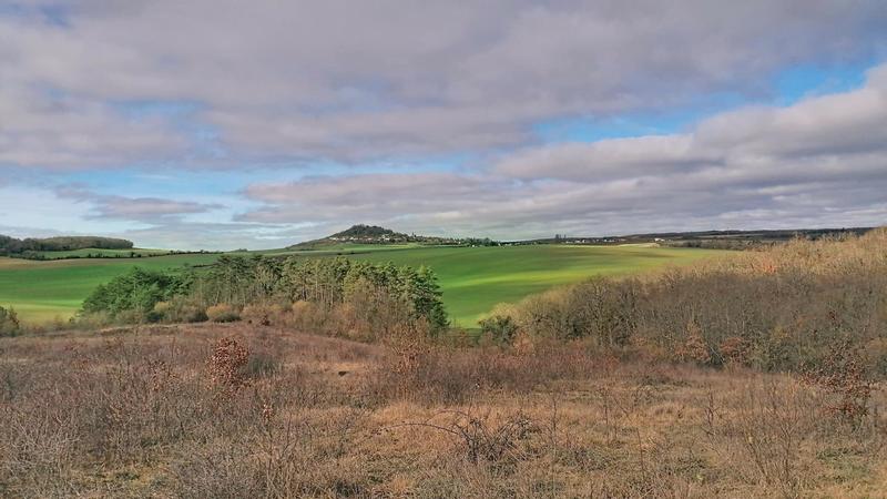 Terrain - 63 112 m²