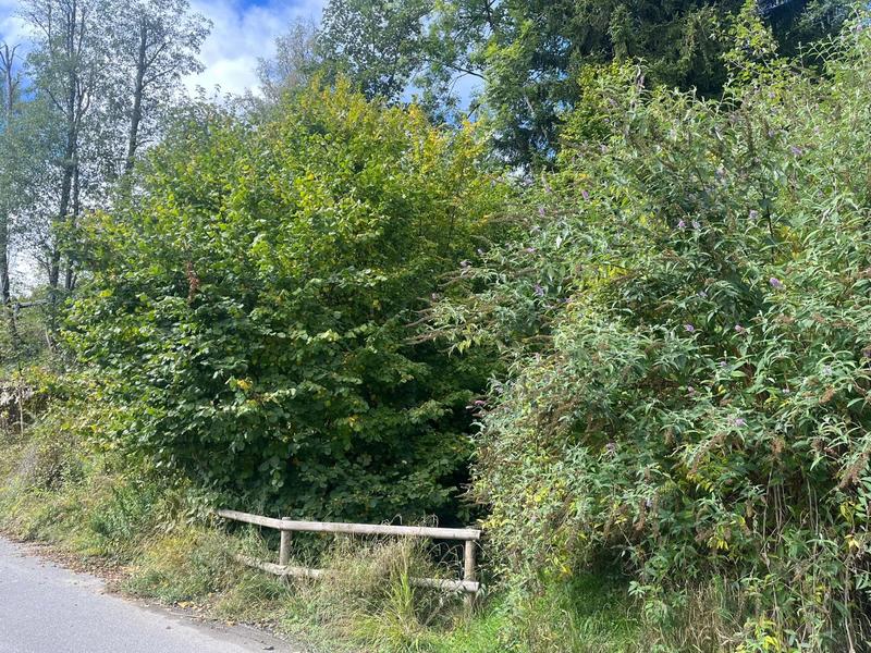 Terrain constructible - 1 174 m²