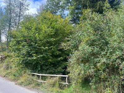 Terrain constructible - 1 174 m²