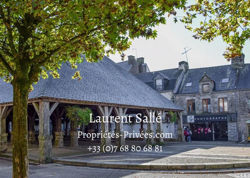 Immeuble - 290 m² - 9 pièces