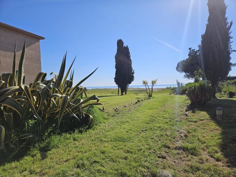 Studio - 31 m² - 1 pièce