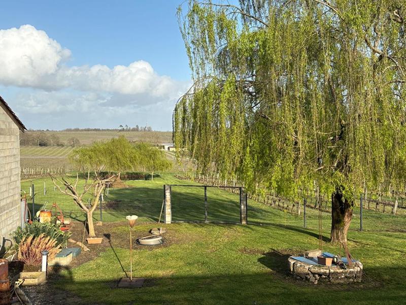 Maison - 225 m² - 7 pièces