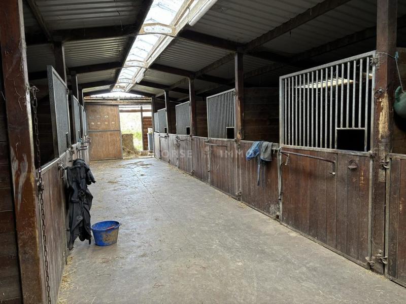 Maison de domaine équestre - 131 m² - 5 pièces