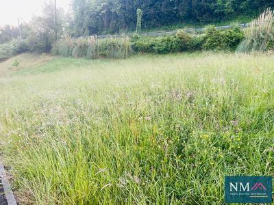 Terrain - 1 126 m²