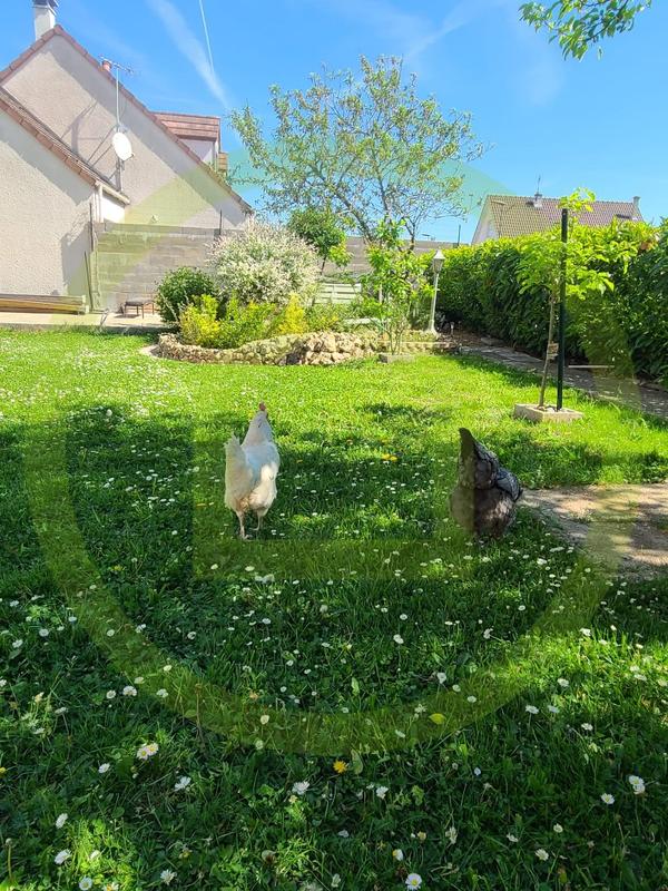 Maison - 147 m² - 5 pièces