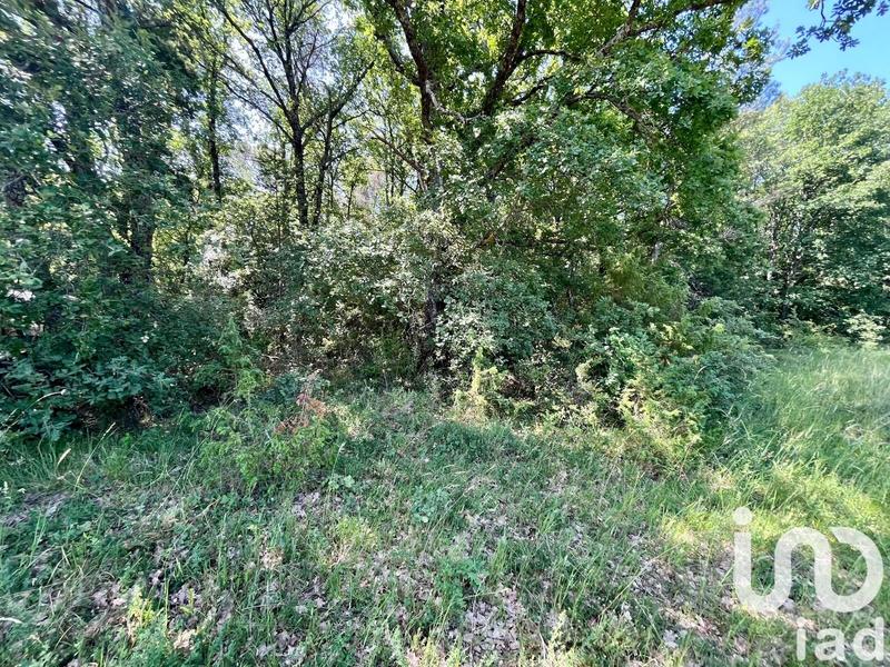 Terrain agricole - 12 527 m²