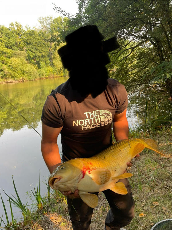 Terrain de loisirs - 43 162 m²