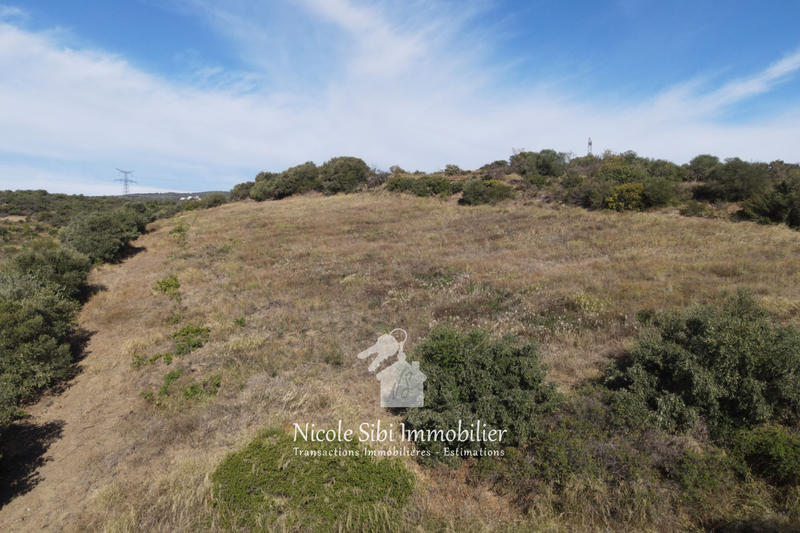 Terrain agricole - 15 907 m²