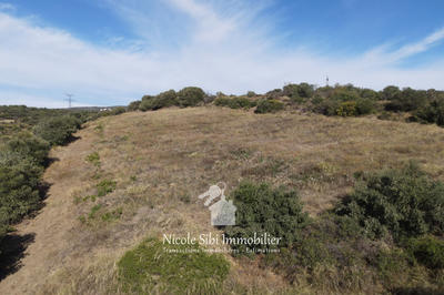 Terrain agricole - 15 907 m²