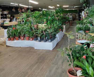 Local commercial - 600 m²