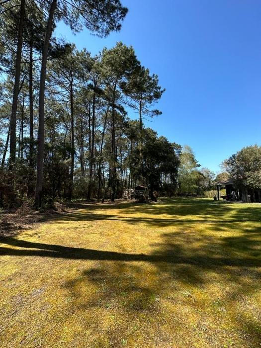 Villa - 360 m² - 8 pièces