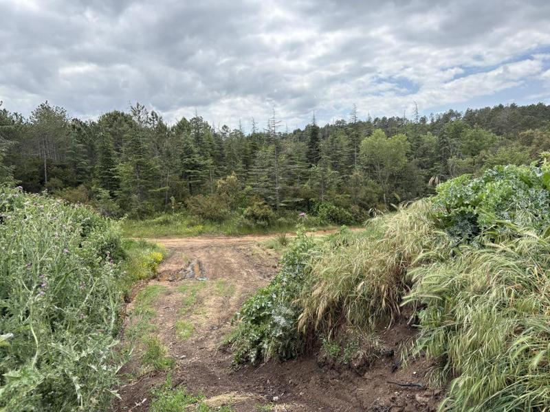 Terrain agricole - 80 000 m²