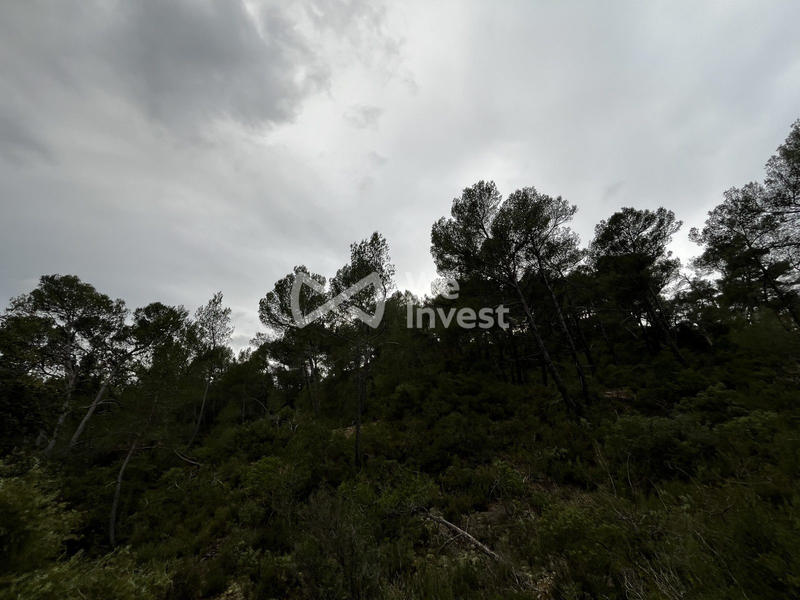 Terrain - 14 680 m²