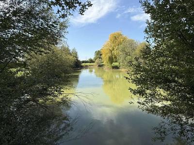 Terrain de loisirs - 11 549 m²