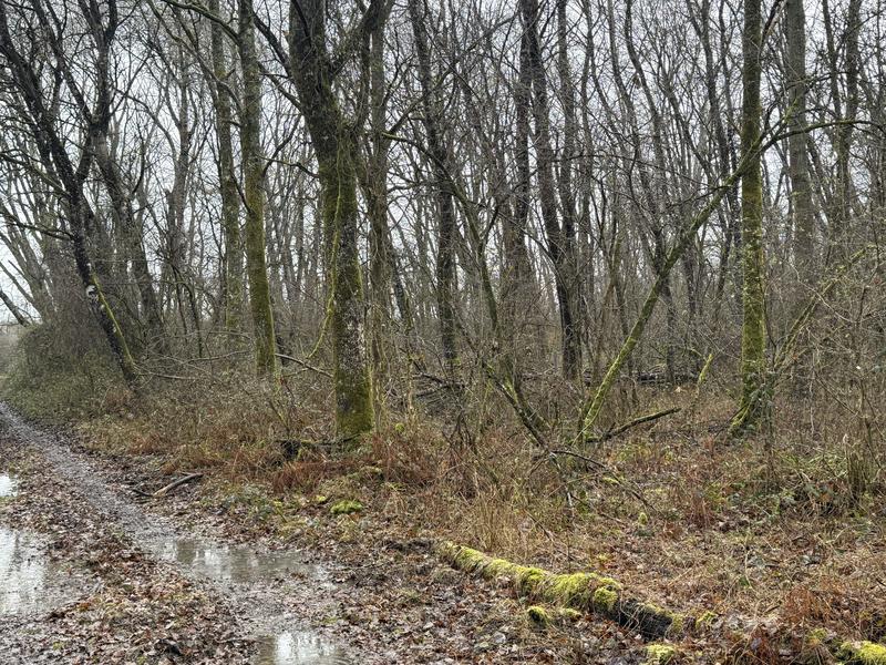 Longère - 300 m² - 12 pièces