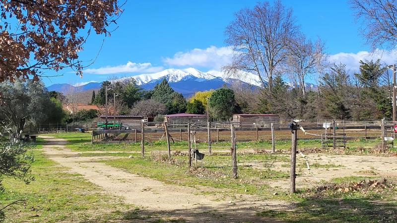 Maison - 123 m² - 6 pièces