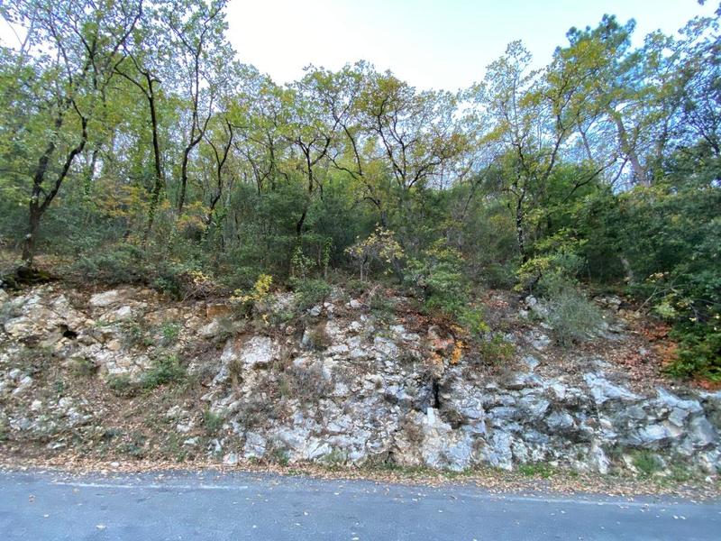 Terrain de loisirs - 12 450 m²