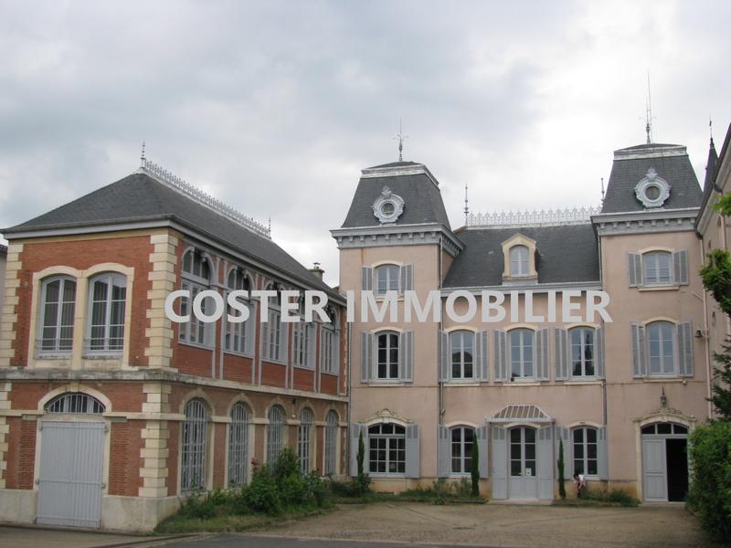 Château - 650 m² - 19 pièces