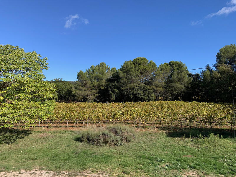 Maison - 377 m² - 7 pièces