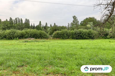 Terrain de loisirs - 982 m²