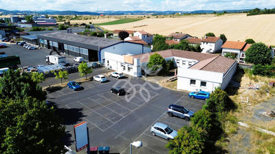 Bureau - 250 m² - 7 pièces