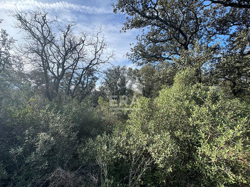 Terrain - 47 000 m²