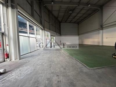 Entrepôt - 505 m²