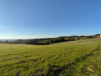 Terrain agricole - 219 900 m²