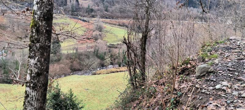 Ferme - 52 m² - 3 pièces