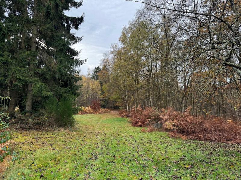 Maison - 116 m² - 4 pièces