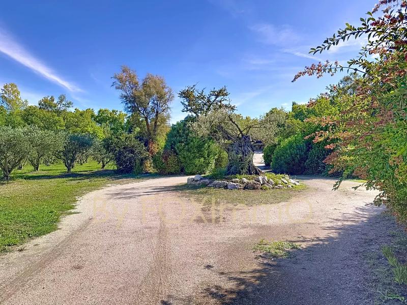 Propriété - 653 m² - 28 pièces