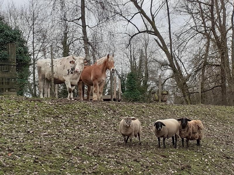 Parcours famille à la ferme