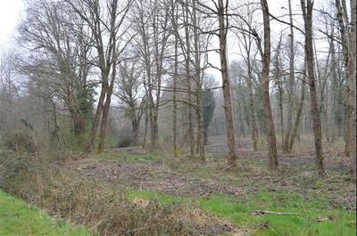 Terrain de loisirs - 22 000 m²