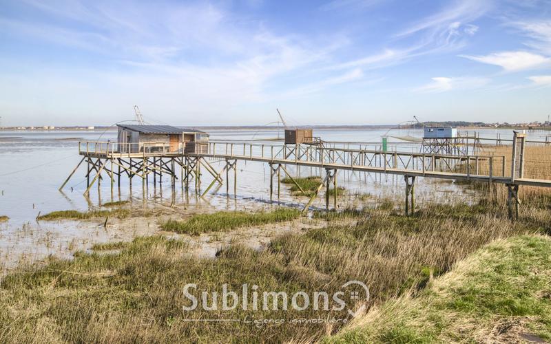 Maison ancienne - 60 m² - 3 pièces