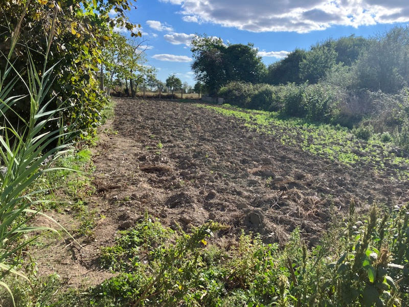 Maison - 61 m² - 5 pièces