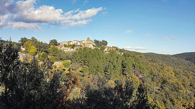 Terrain - 7 200 m²