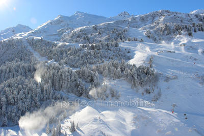 Duplex - 55 m² - 3 pièces