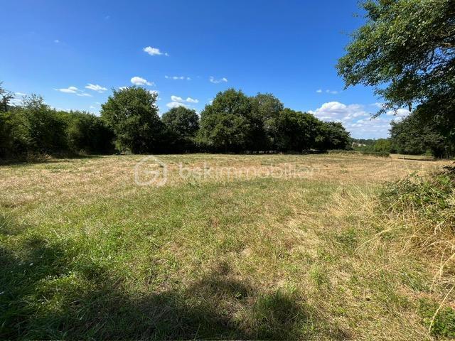 Terrain de loisirs - 3 599 m²