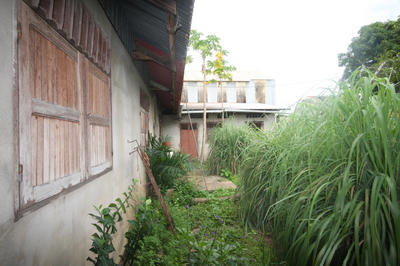 Maison - 230 m² - 8 pièces