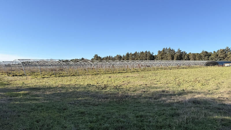 Mas - 217 m² - 5 pièces