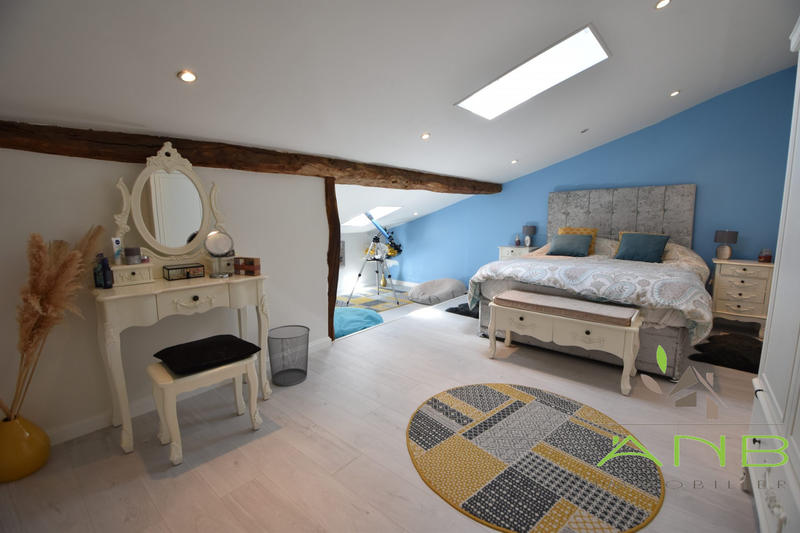 Maison ancienne - 300 m² - 10 pièces