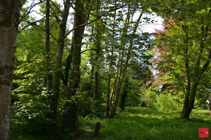 Manoir - 908 m² - 26 pièces