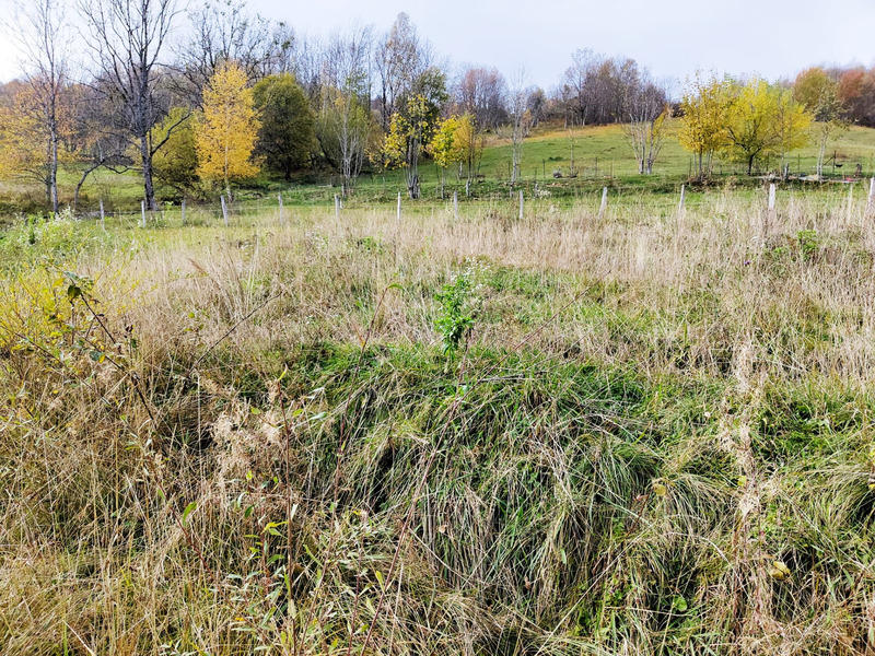 Terrain constructible - 802 m²