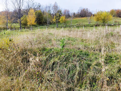 Terrain constructible - 802 m²