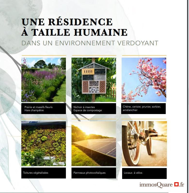 Appartement - 44 m² - 2 pièces